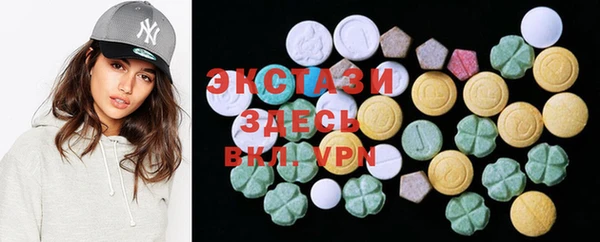 ECSTASY Богданович