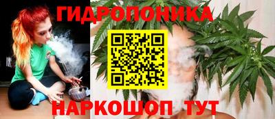 индика Бийск