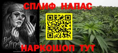 сатива Донецк
