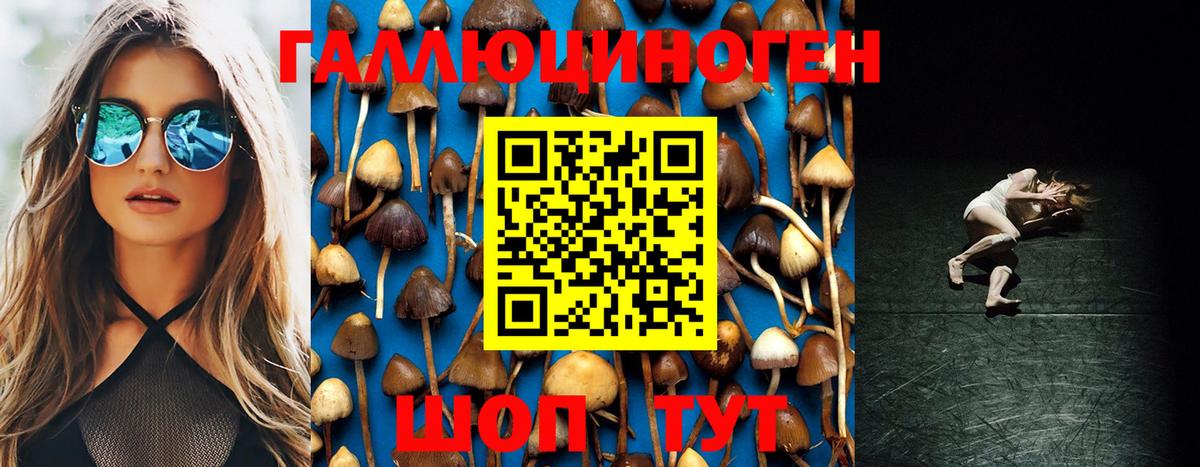 Хабаровск  магазин продажи наркотиков  Вход с VPN  Галлюциногенные грибы Magic Shrooms 